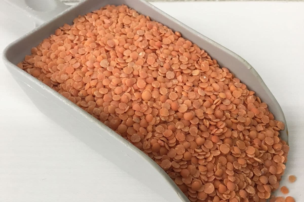 Lentils, Red Split (Organic) (1 Cup/255 g)