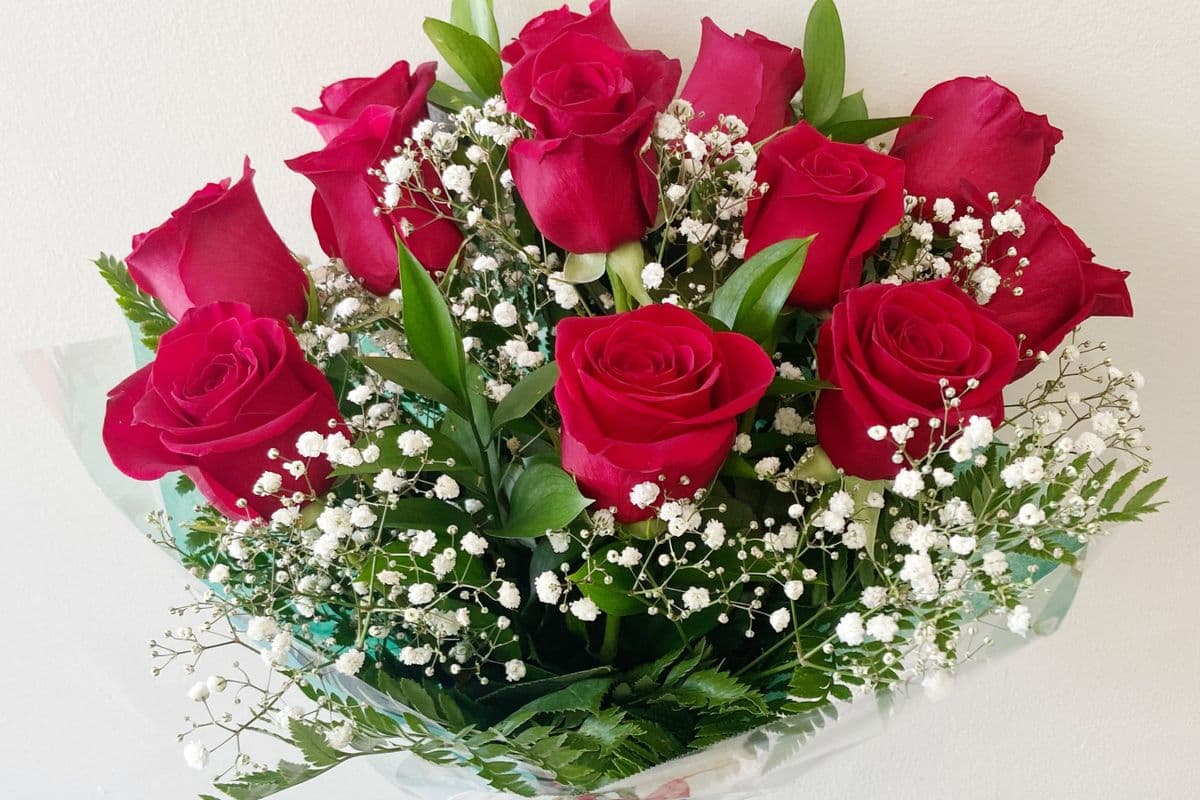 12 Red Roses