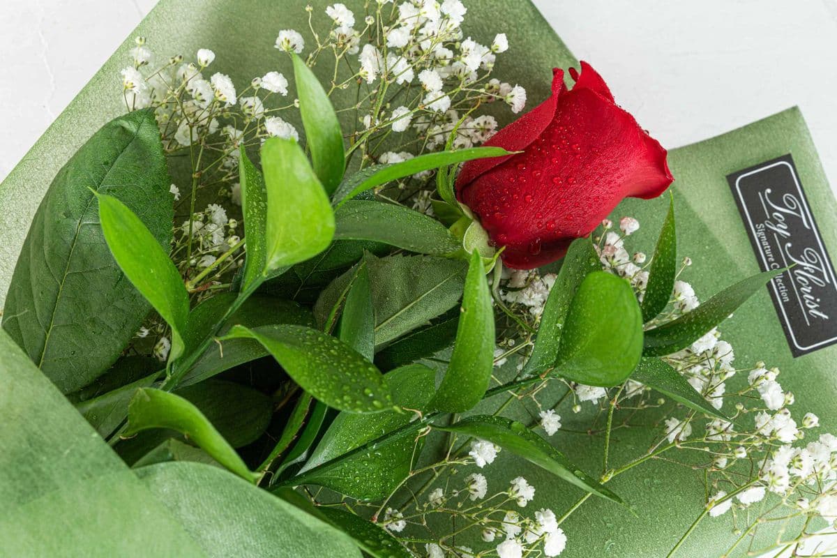 Single Rose