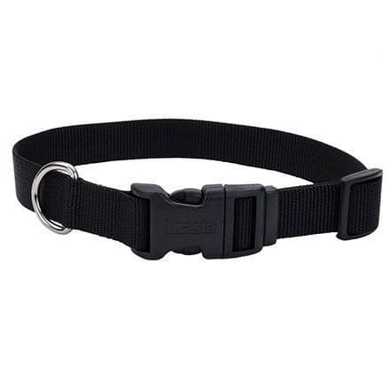 Coastal Adjustable Nylon Collar with Tuff Buckle Black