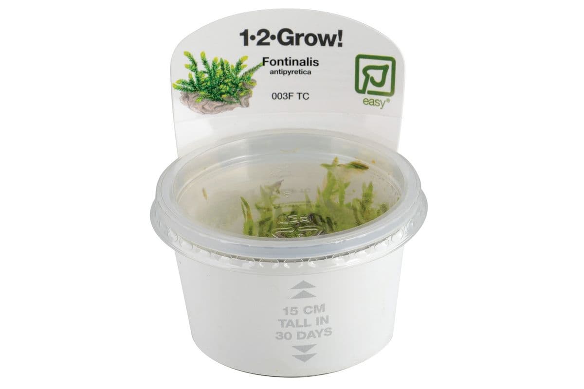 Tropica 1-2-Grow Live Plant - Fontinalis Antipyretica