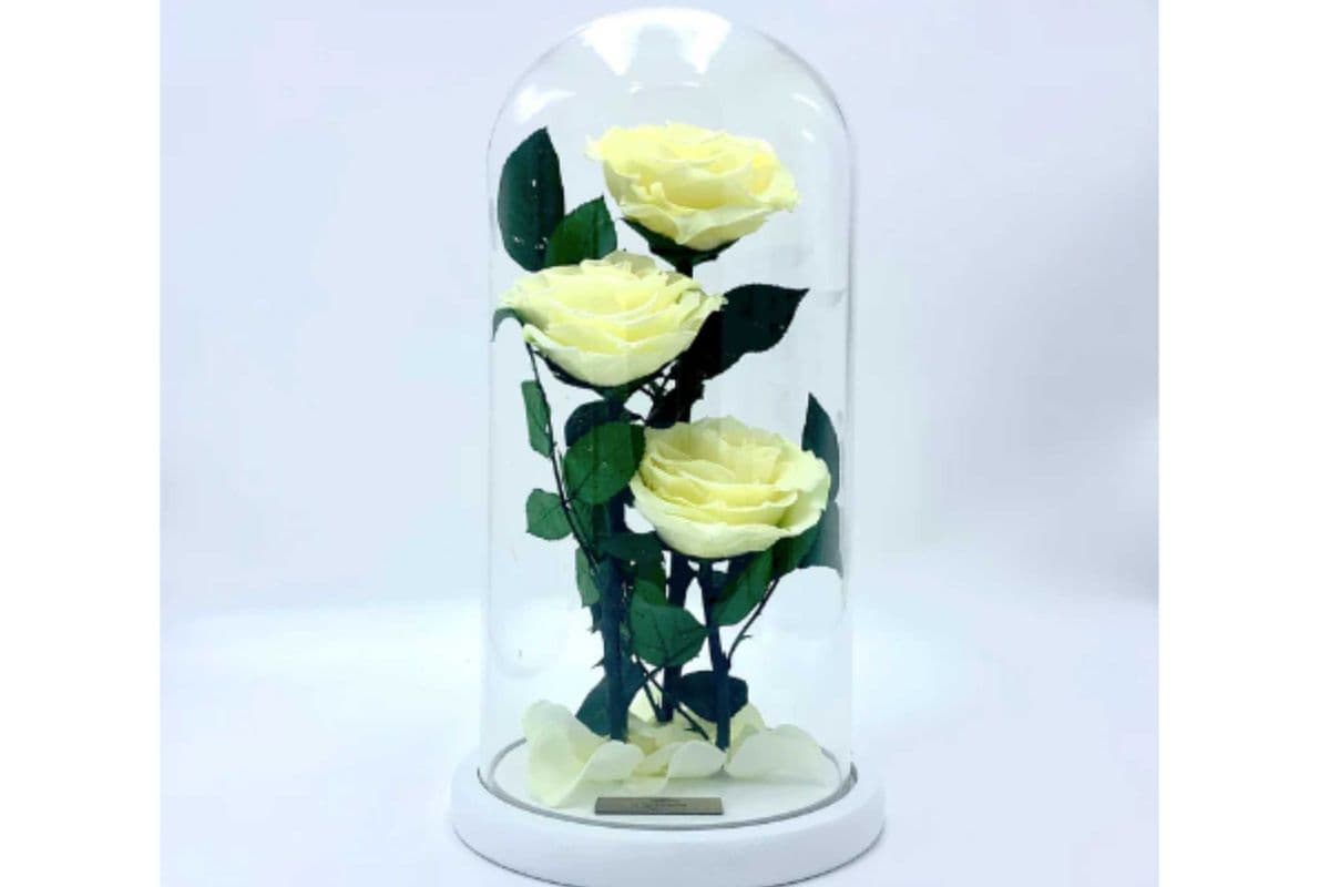Eternity 3-in-1 Roses in Enchanted Glass Dome (15x30 cm)
