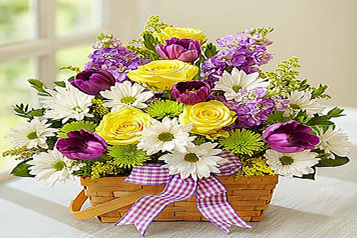 Spring Wonderful Wishes