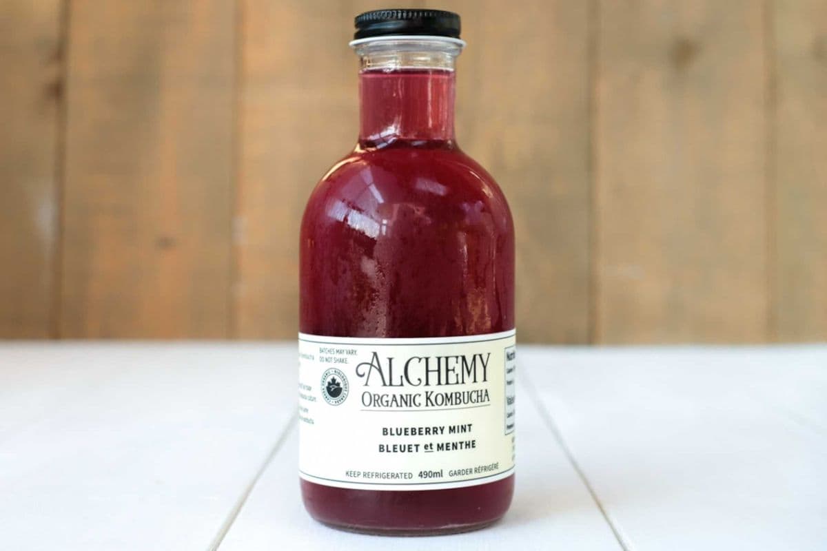 Blueberry Mint Kombucha - Alchemy (490 ml)