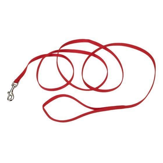 Coastal Single Ply Nylon Leash Bright Red