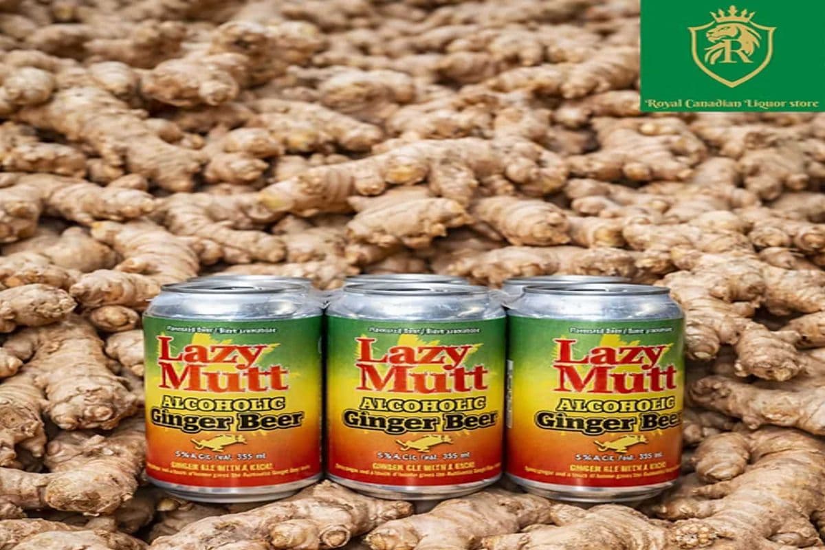 LAZY MUTT GINGER BEER (6 x 355ML)