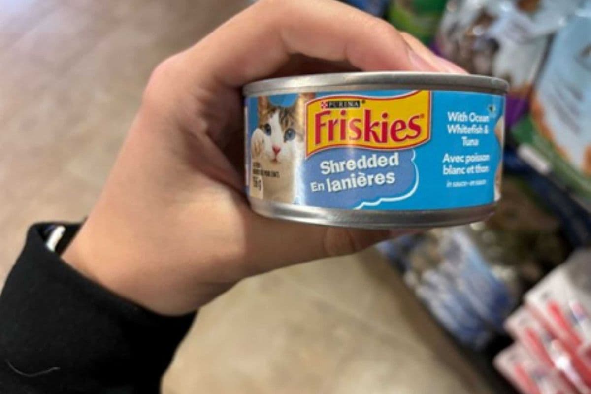 Purina Friskies | Feline | Wet | Shredded Whitefish & Tuna in Sauce | 156gm