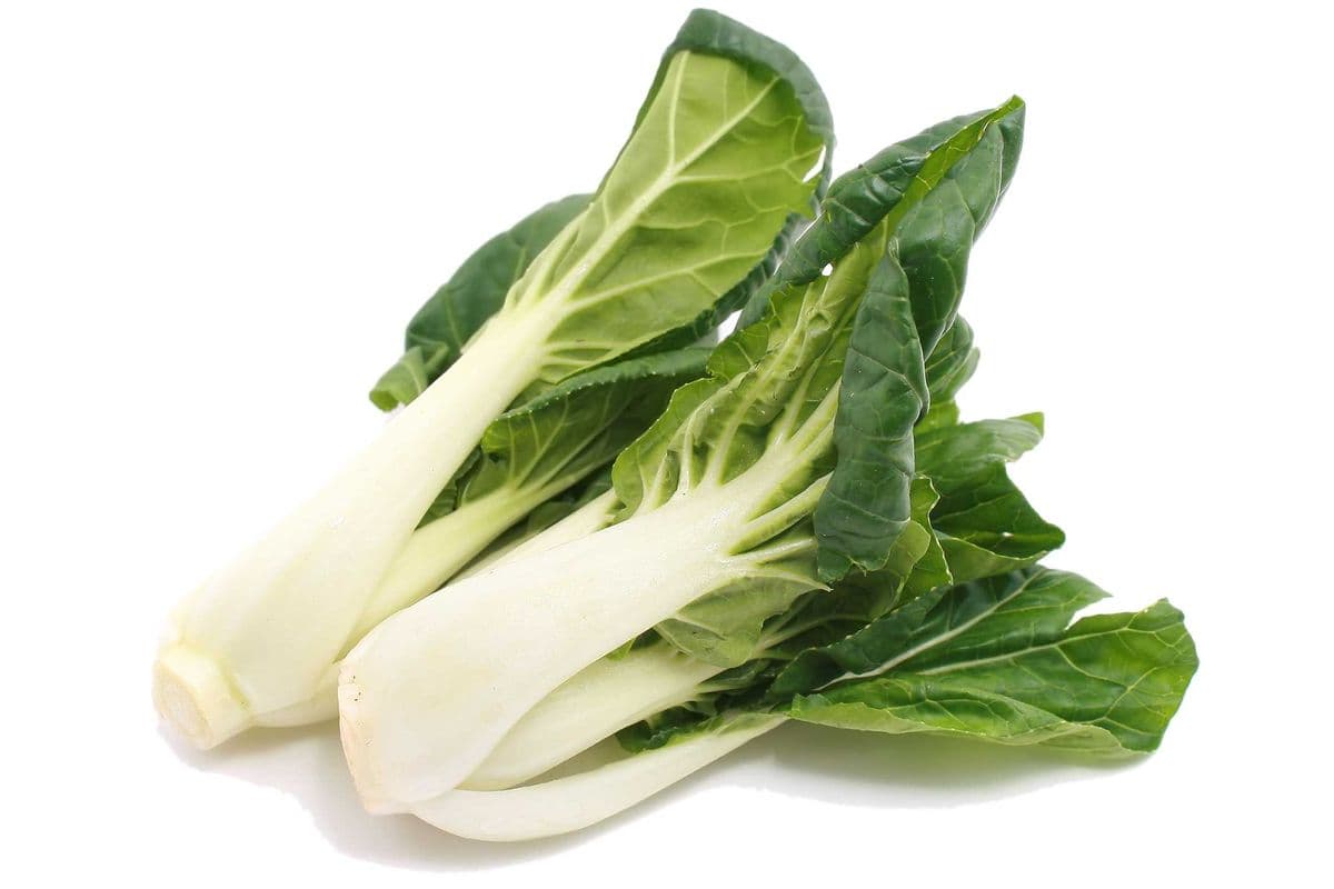 Choy - Bok Baby (per lb)
