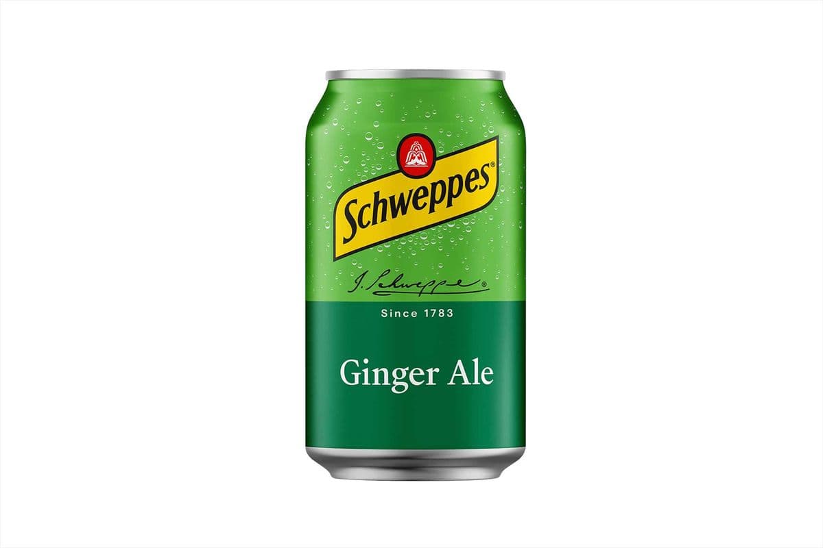 Ginger Ale (355 ml)