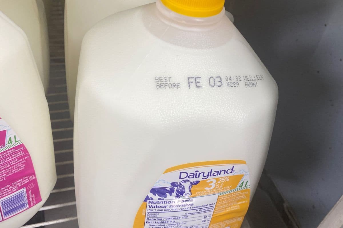 Dairyland Milk 3.25% (4 L)