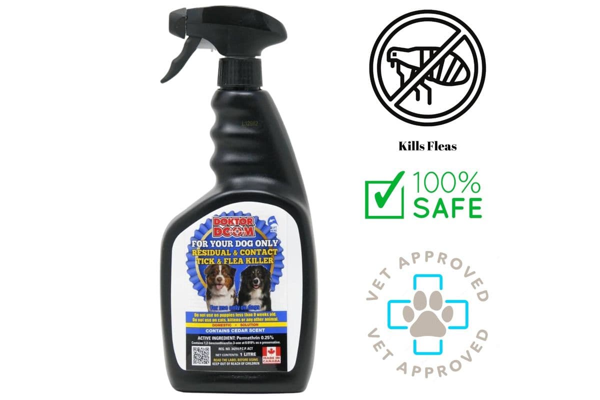 Doktor Doom Dog Only Residual & Contact Flea Killer Spray (1 L)