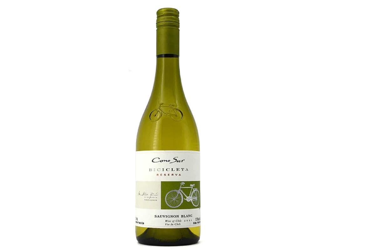 Cono Sur Bicicleta Sauvignon Blanc (1 x 750 ml)