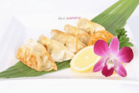 Boulettes japonaises / Japanese Dumplings
