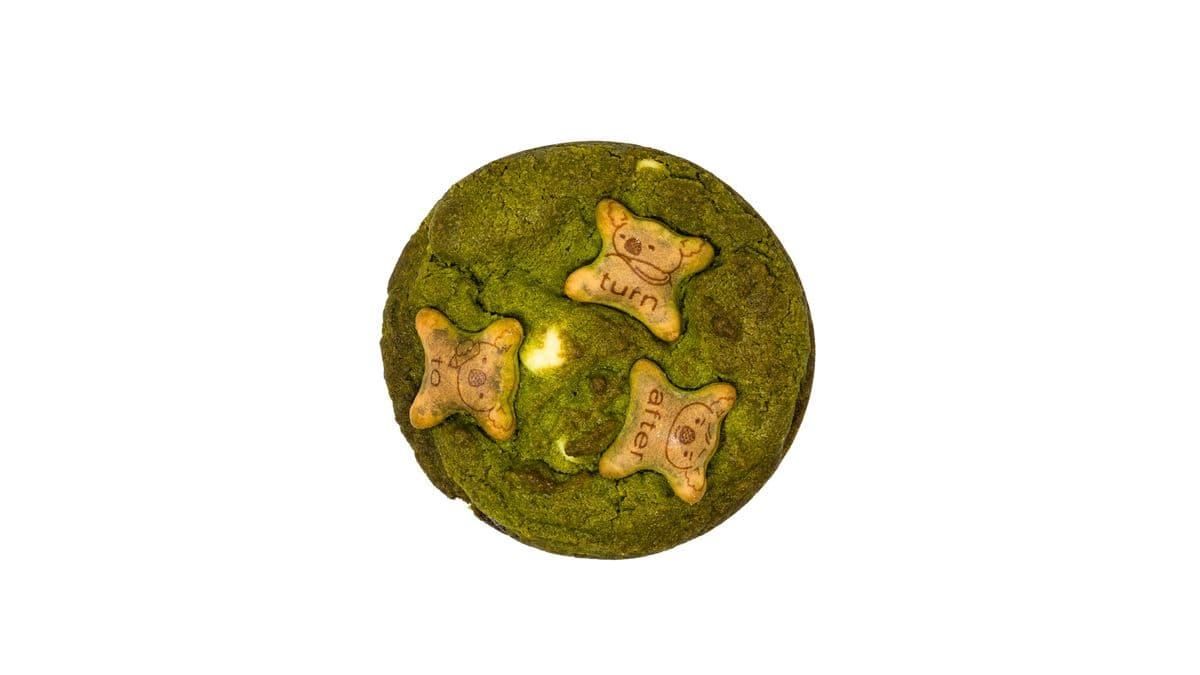 Koala Matcha Cookie