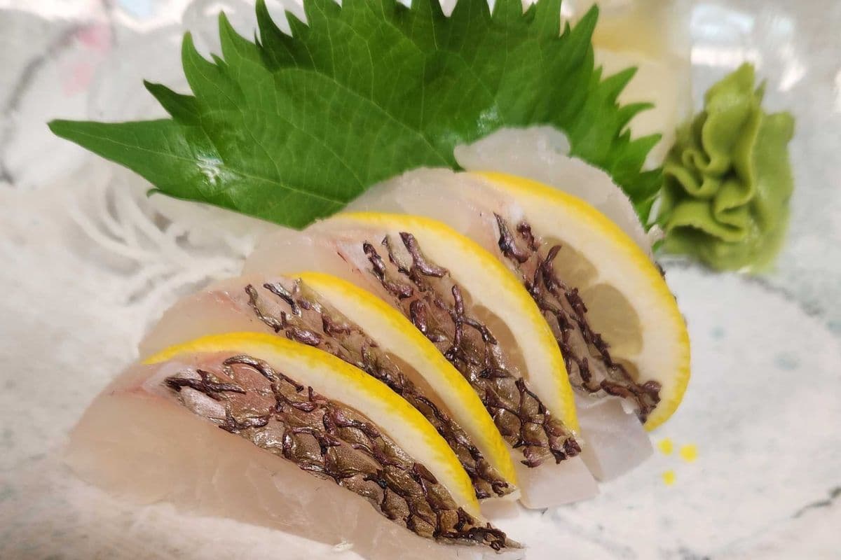 Madai Sashimi