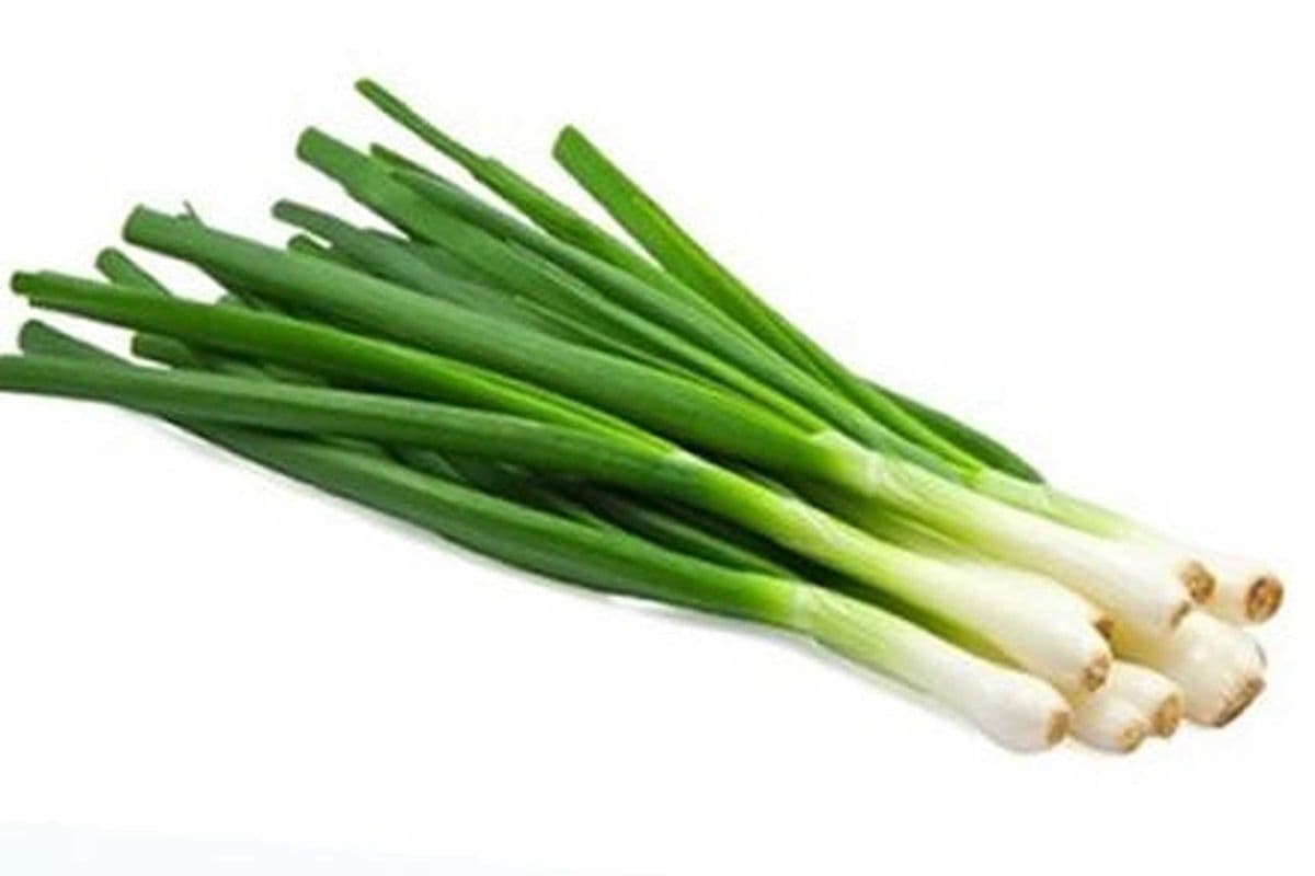 Oignon vert (1) / Green Onion (1)