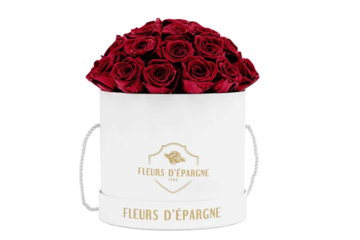 Prestige Rose Bucket