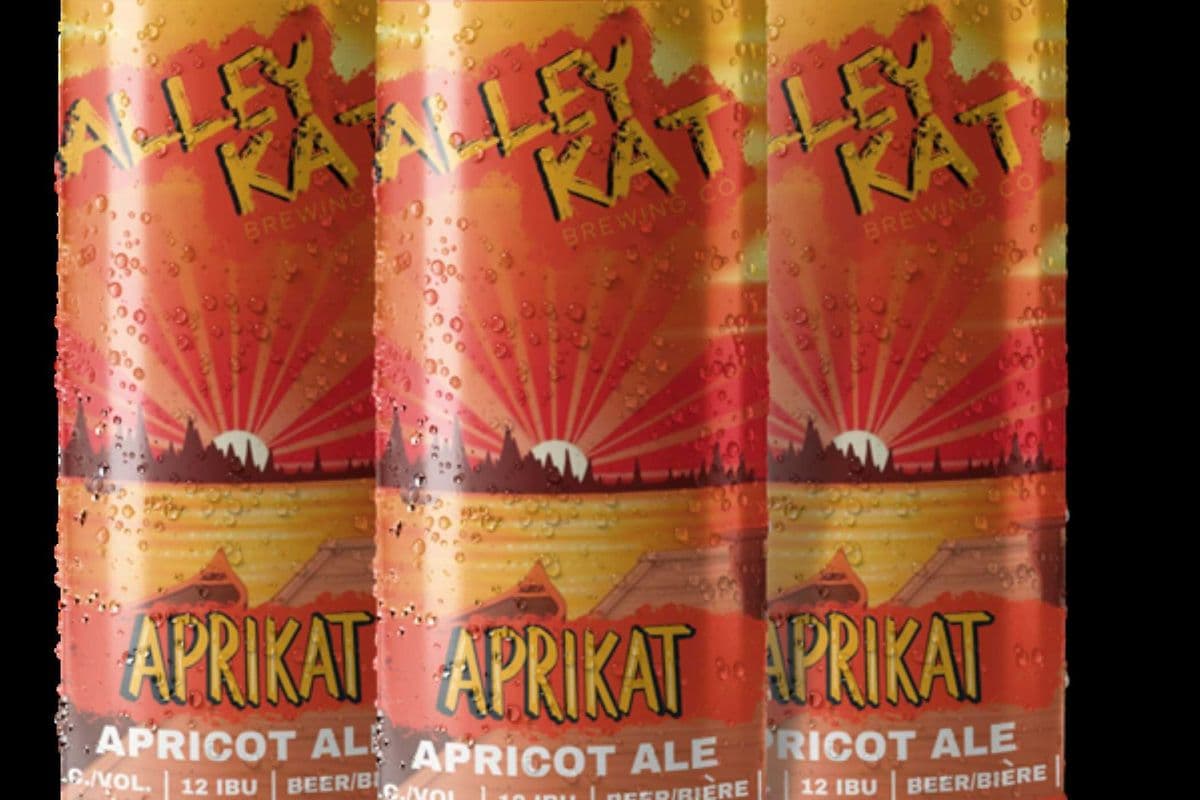 ALLEY KAT APRIKAT APRICOT ALE (1 x 4PC)