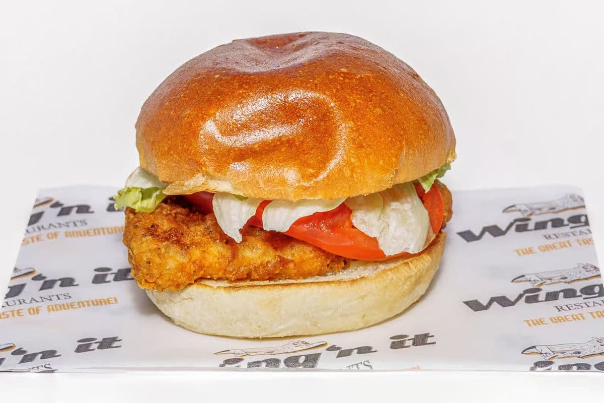 Runway Chicken & Fries
