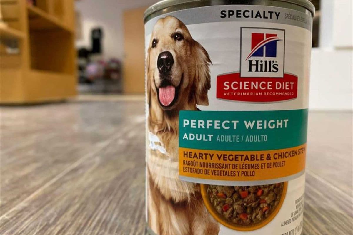 Hills | Canine | Wet | Adult 1-6 | Perfect Weight | 12.8oz