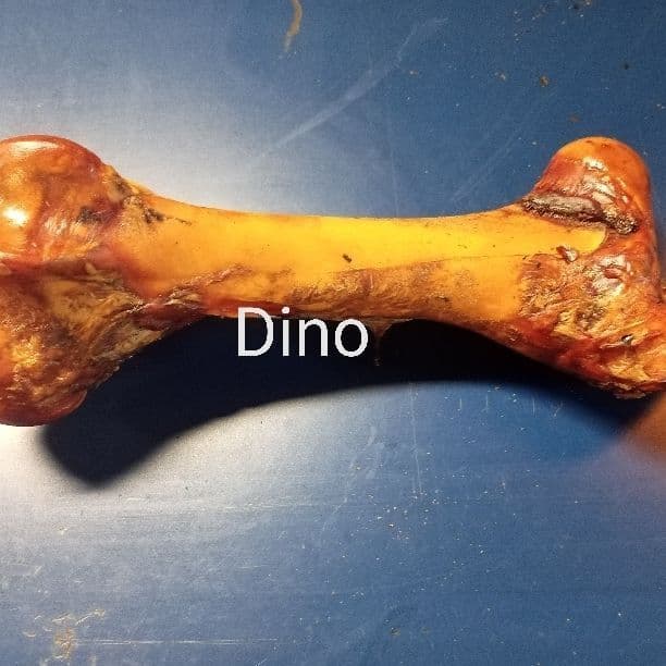 Gourmet Pet Treats Dino Bone