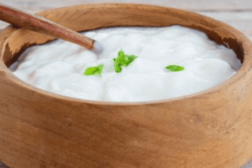 Plain Dahi