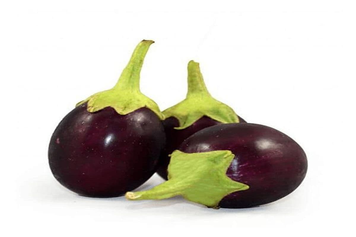 Eggplant (Baingan) Round (1 lb)