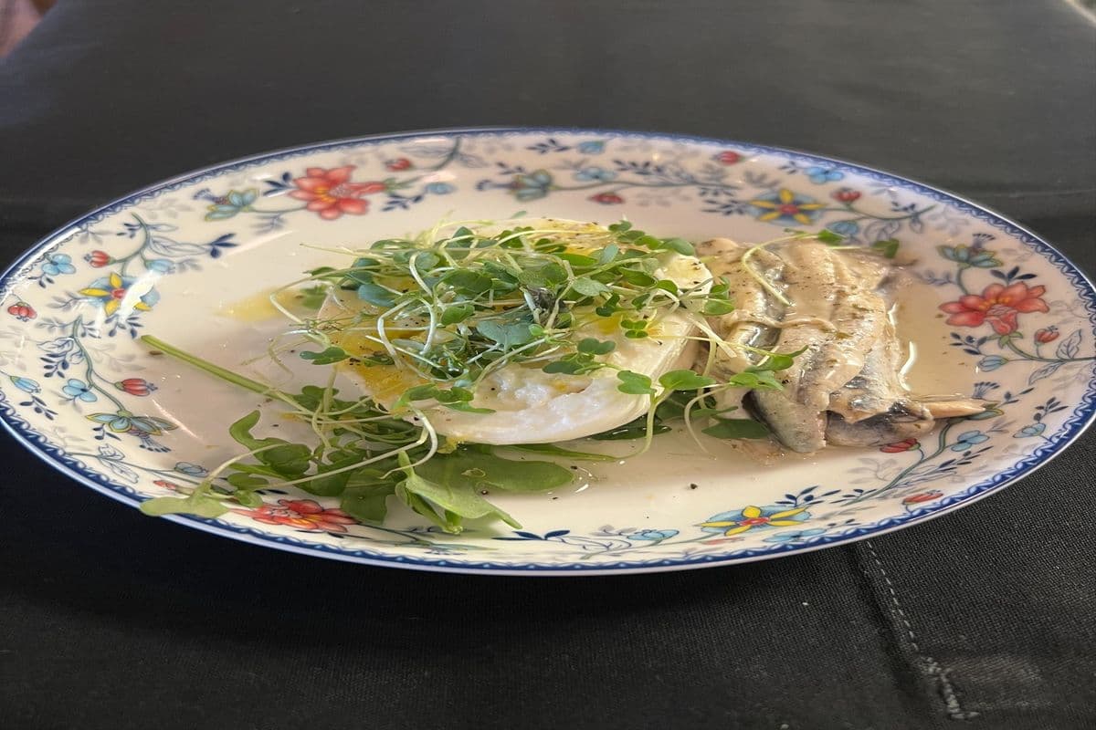 Anchovy