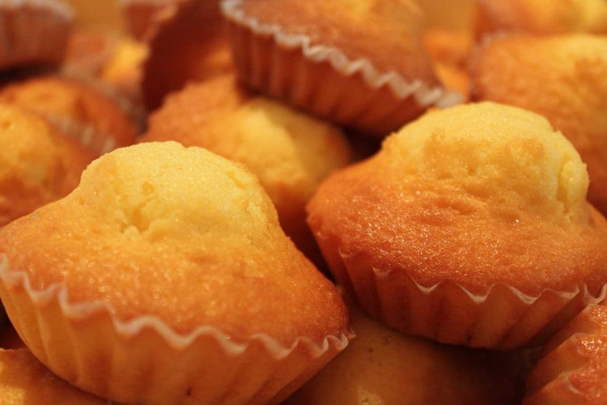Honey Madeleine (Box of 4 Pieces)