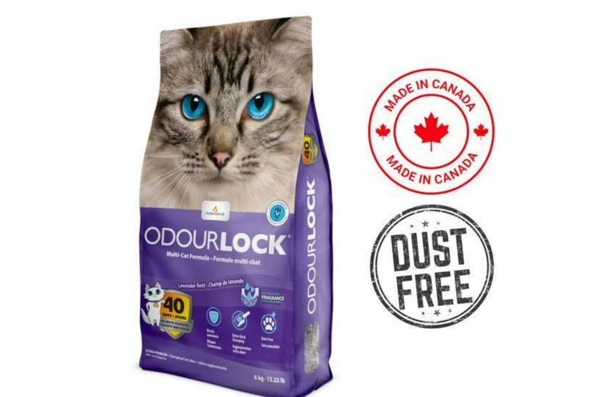 OdourLock Ultra Premium Lavender Clumping Cat Litter (6 kg)