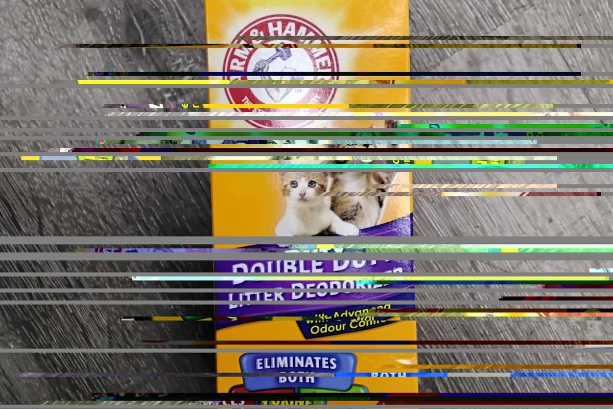 Arm&hammer double duty litter deodorizer (850g)