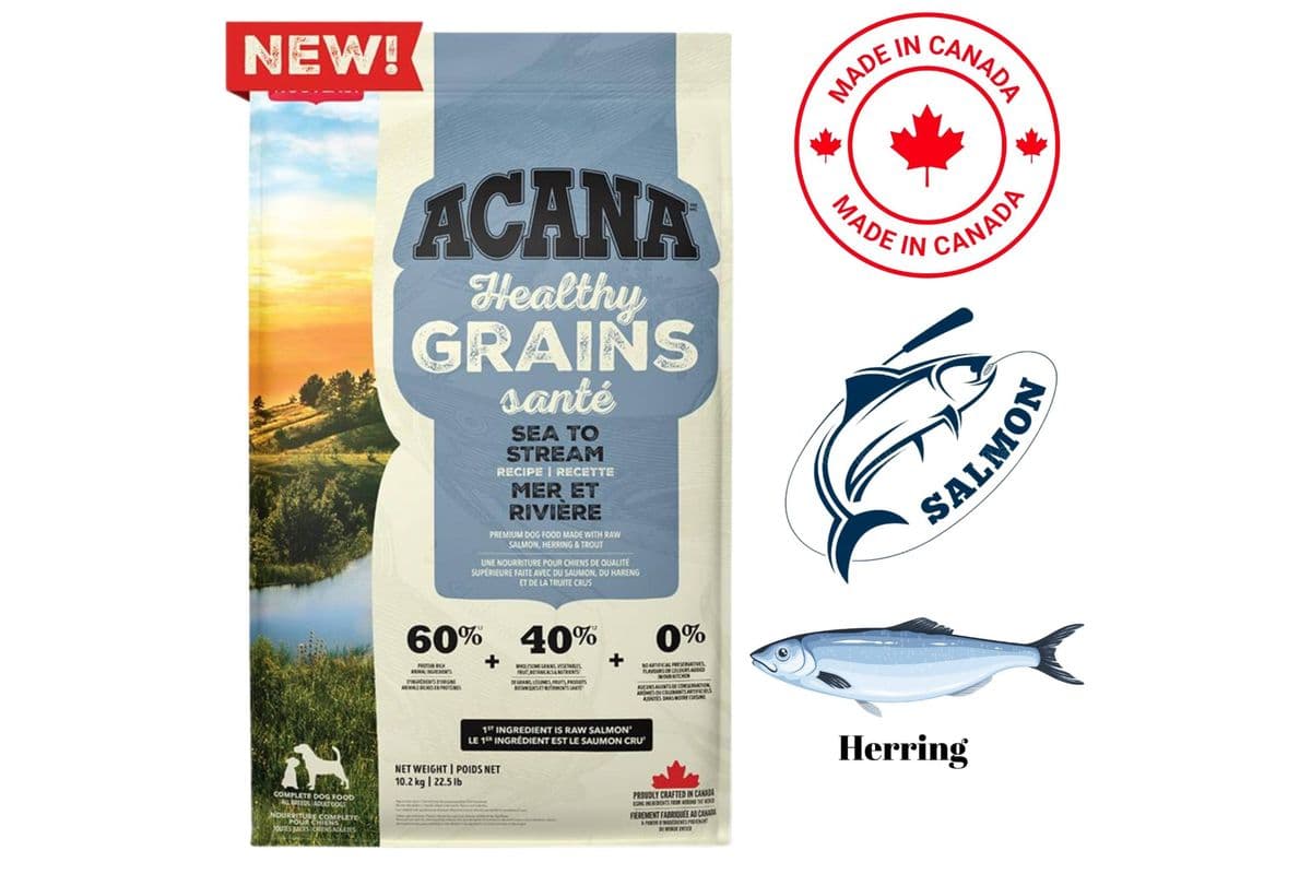 Acana - Healthy Grains Sea To Stream Dry Dog Food (22 lbs)