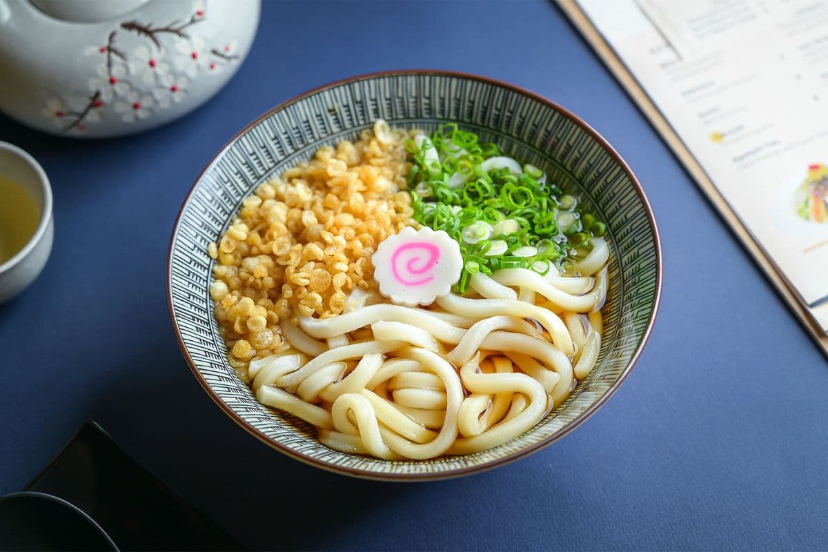 Plain Udon Noodle Soup