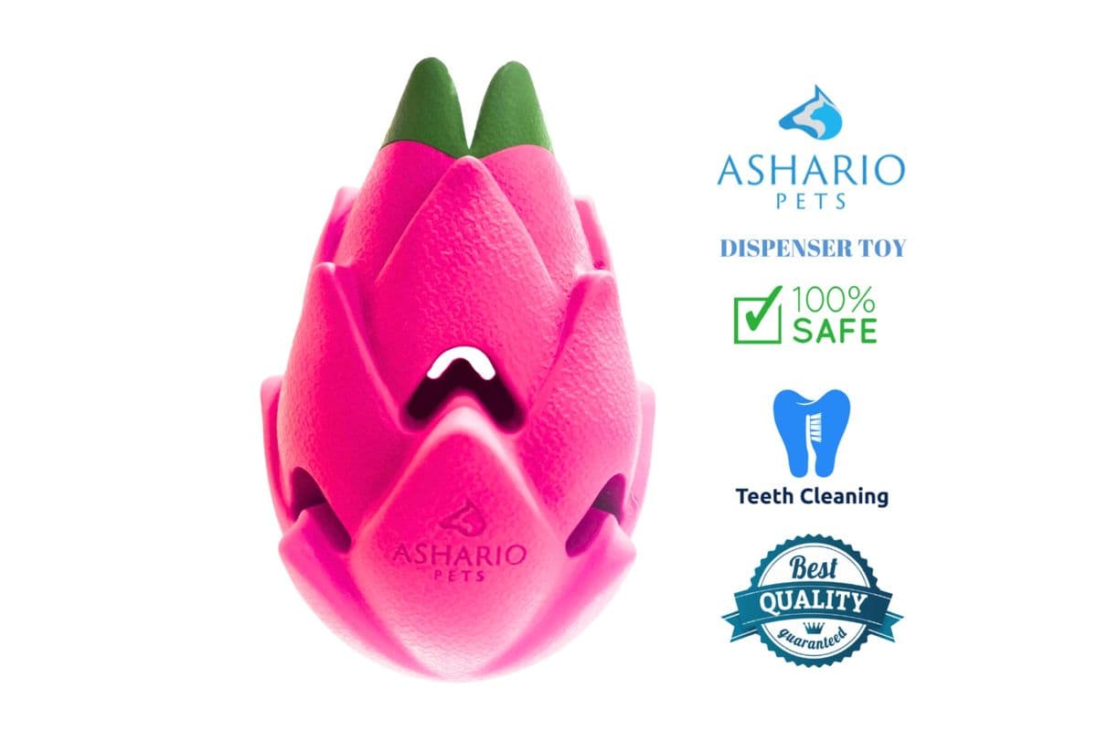Ashario Pets - Dispenser Dog Toy - Dragon Fruit