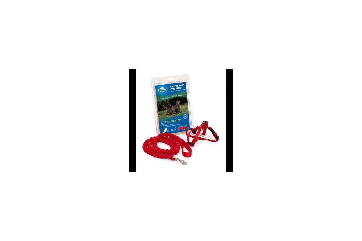 PetSafe Come With Me Kitty Harness & Bungee Leash Large Red