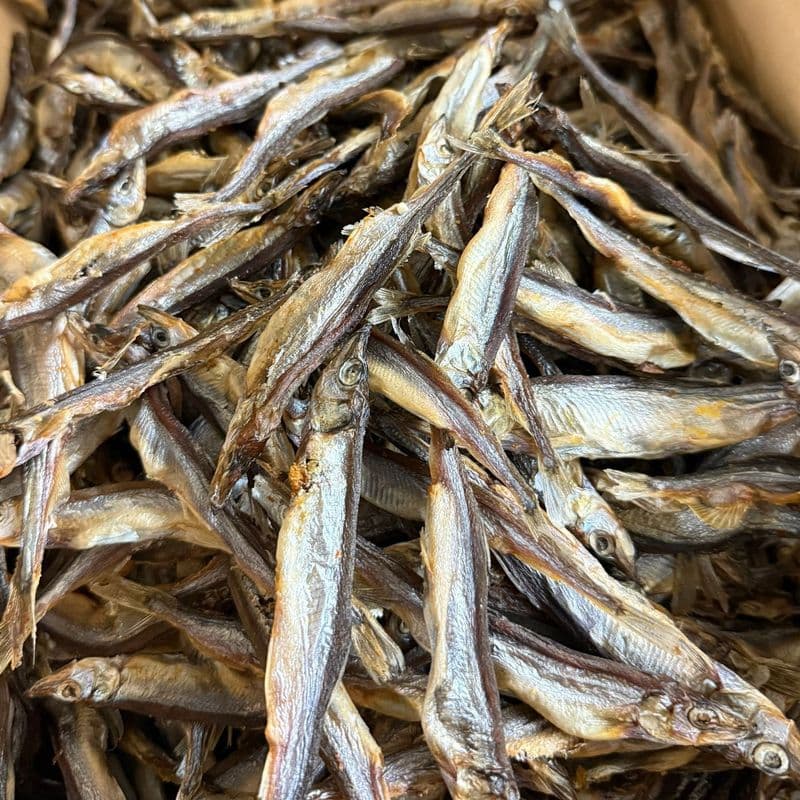 JT Pets Dried Capelin 100g