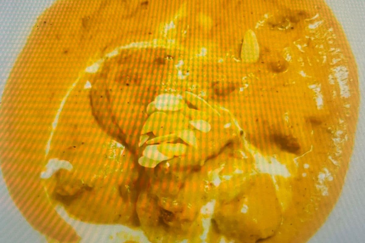 Beef Korma