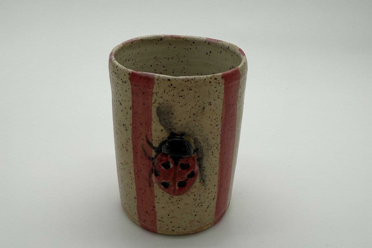 Ladybug smudge tumbler