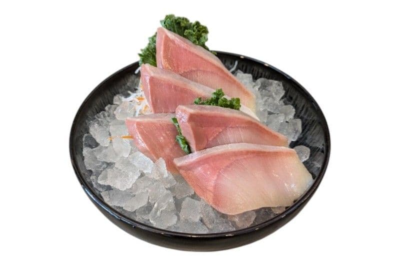 Hamachi [5pc] SA