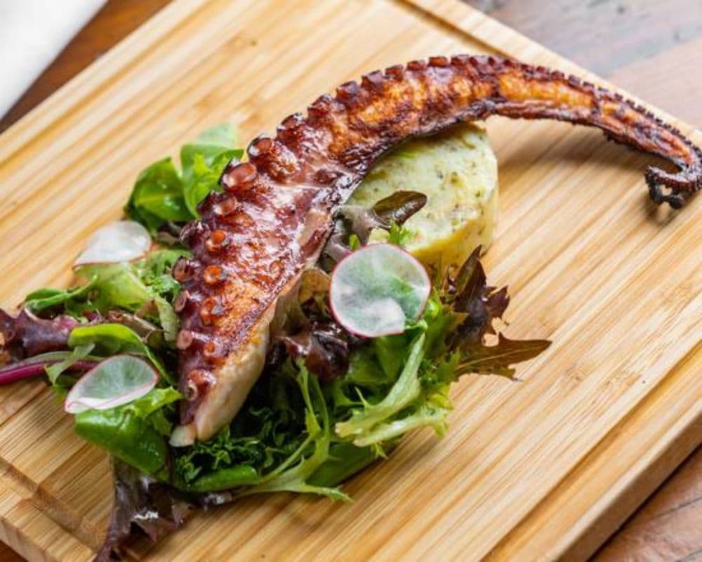 Grilled Octopus