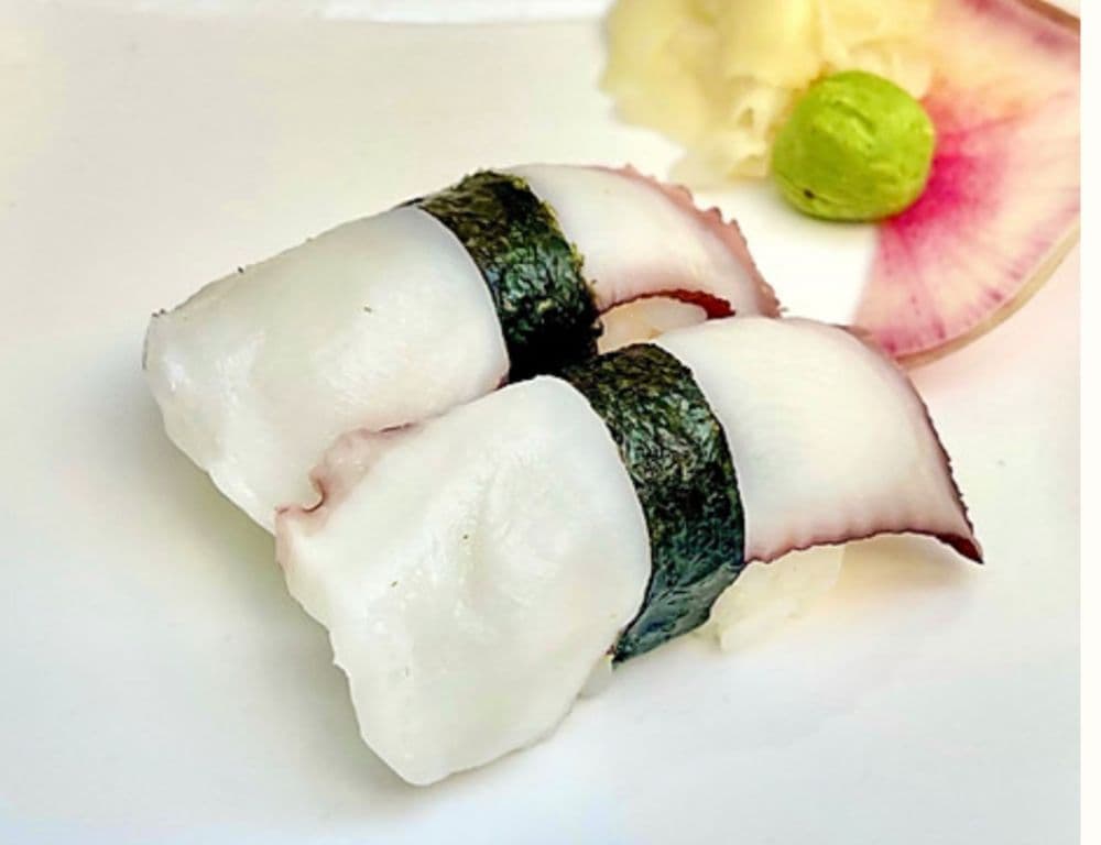 Pieuvre / Octopus