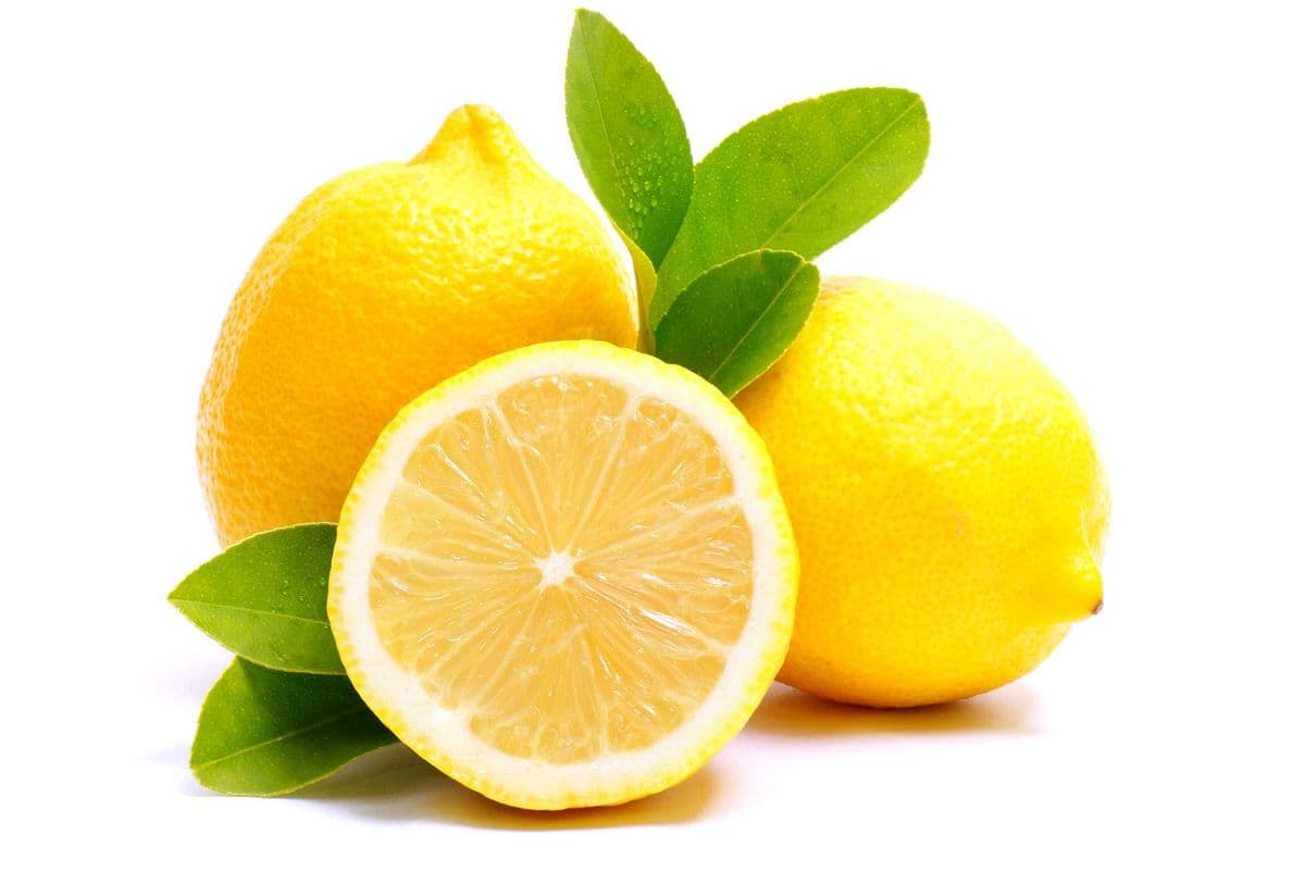 Lemon Large (each)