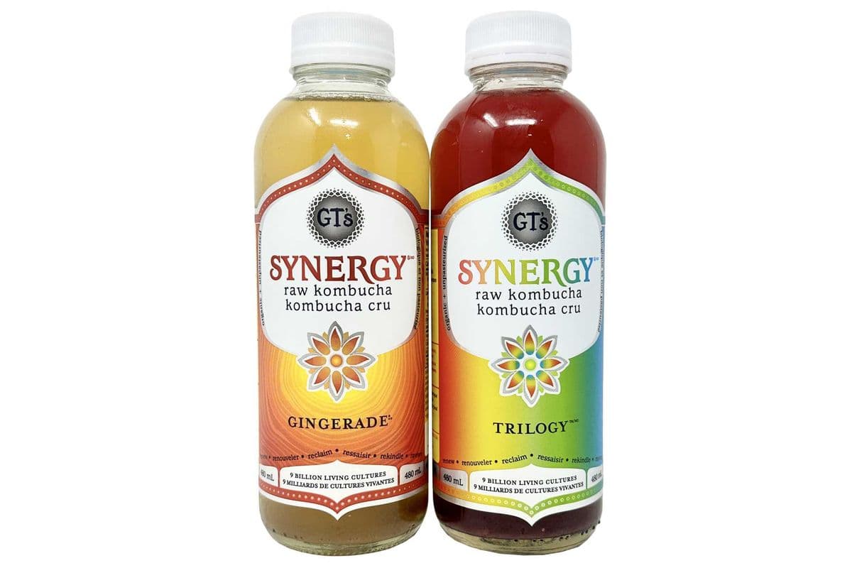 GT's Synergy Kombucha (480 ml)