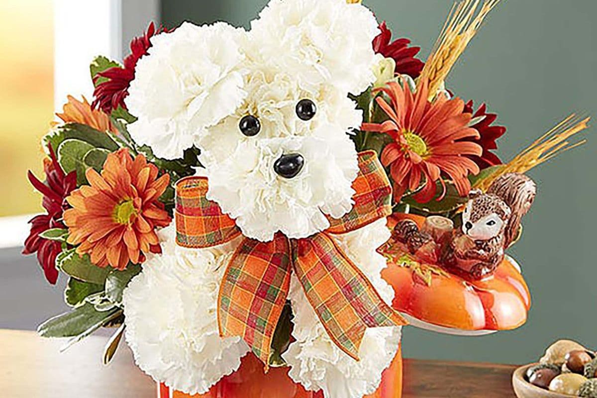 A-Dog-able® for Fall