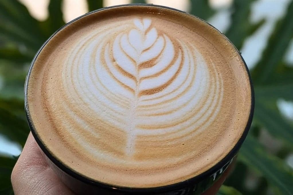 Latte