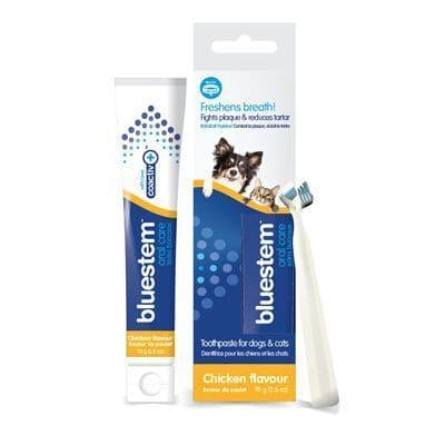 Bluestem Oral Care Toothpaste With Coactiv+ Chicken Flavor For Dogs & Cats 70 g