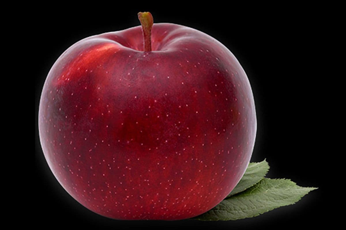 Pommes empire (1kg) / Apple Empire (1kg)