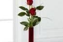 3 Red Roses with Baby's Breath