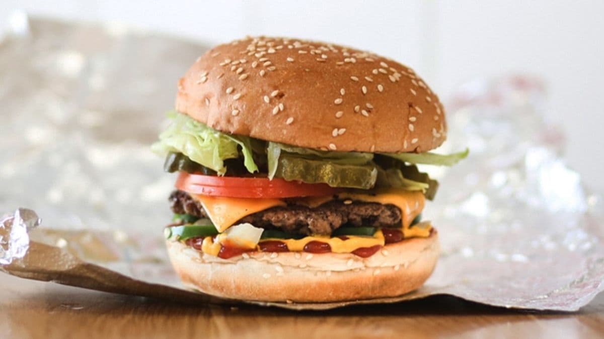 Cheeseburger (petit / Little)