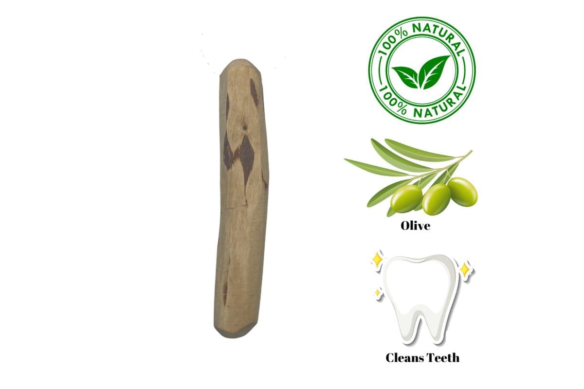 Zaytoon - Olive Wood Dog Chew - Small